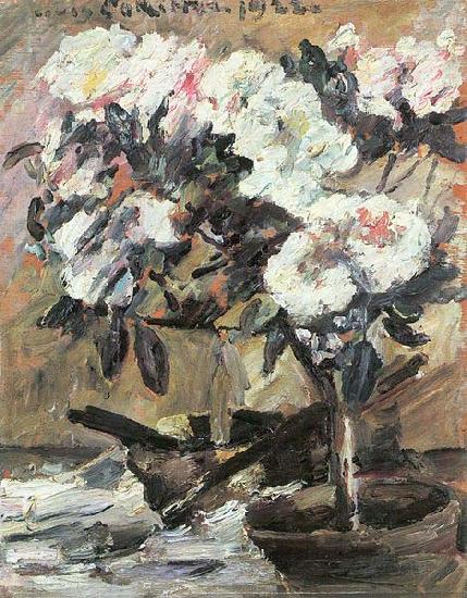 Lovis Corinth Azaleen oil painting image